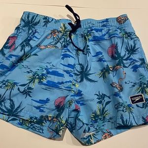 Speedo Blue Swim Trunks (Medium)